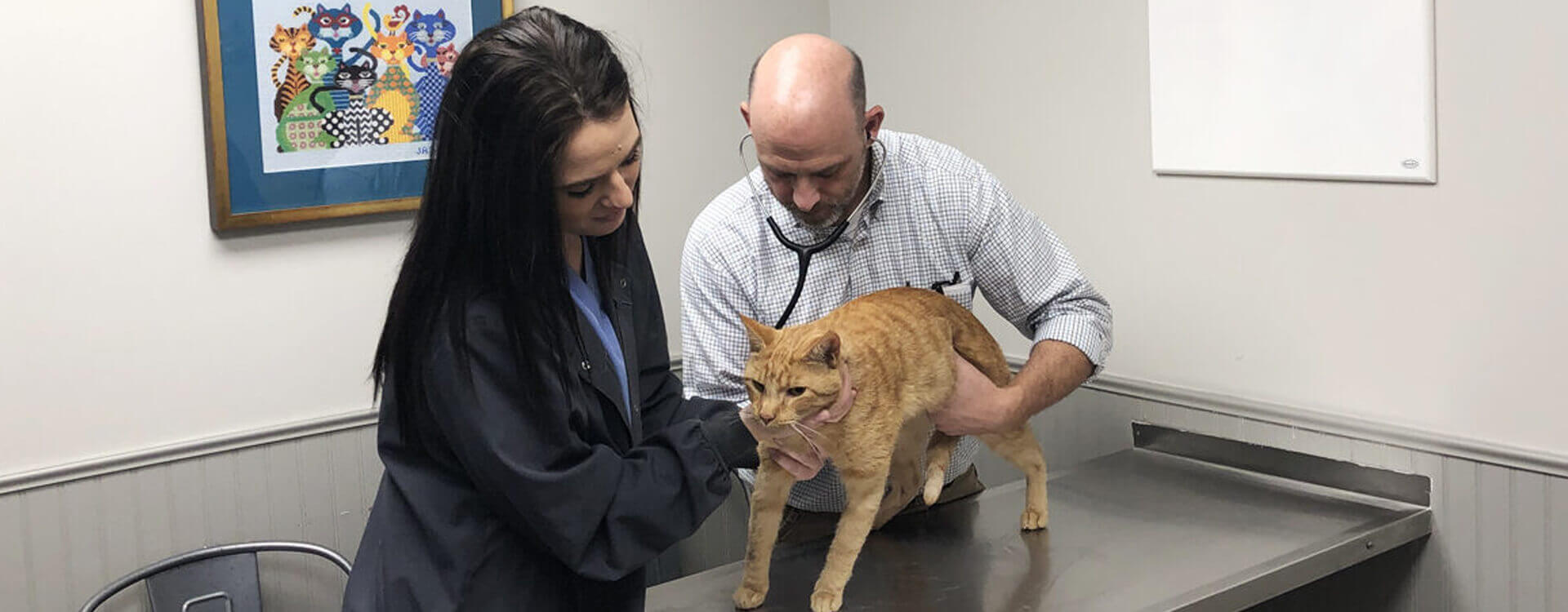 Oxford Veterinary Hospital